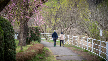 Couple walking through spring foliage