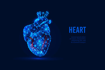 The concept of cardiology. Vector futuristic low-poly human heart, which consists of glowing lines, stars, triangles, lines isolated on a dark blue background. Modern frame design. Vector illustration