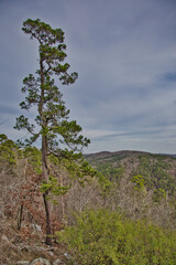 Hot Springs National Park, Arkansas.
