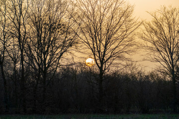 romantischer Sonnenuntergang im Winter mit Bäumen in Sandweier Baden-Baden