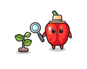 cute red bell pepper herbalist researching a plants