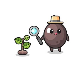 Fototapeta premium cute black olive herbalist researching a plants