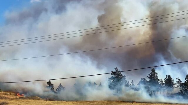 Heavy Smoke and Flames From Wildfire, Spreading Fast With Strong Wind, Burning Forest and Grass. Marshall Fire, Boulder County Colorado USA