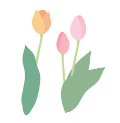 チューリップ複数本のイラスト