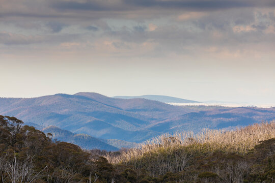Photograph of Dead Horse Gap in the Snowy Mountains in Australia