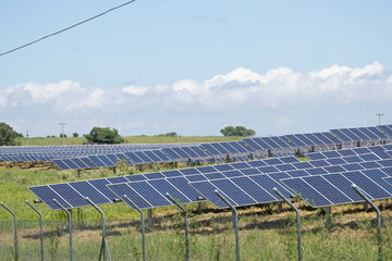 solar farm green energy from sun light show a lot of solar cell plate. Selective focus