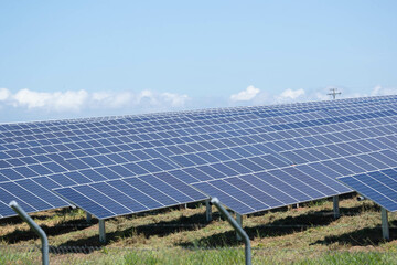 solar farm green energy from sun light show a lot of solar cell plate. Selective focus