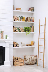 Fototapeta na wymiar Collection of books and decor elements on shelves indoors. Interior design