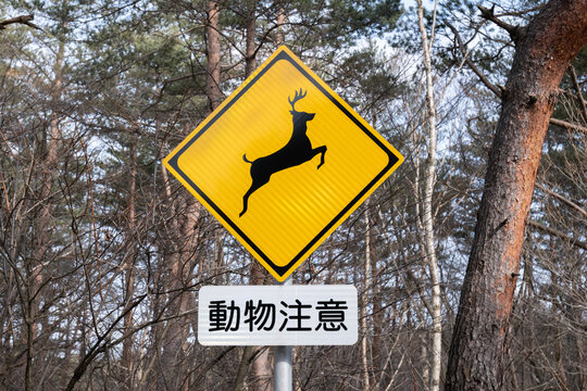 注意標識鹿