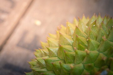 Fresh exotic fruit at garden with sun ray affect. The fruits also known as king of fruits at southeast Asean, especially Malaysia, Indonesia, Thailand and other Asean country. 