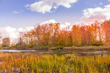 Fototapeta premium Colorful beautiful Autumn landscaping Scenery