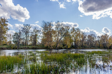Colorful beautiful Autumn landscaping Scenery