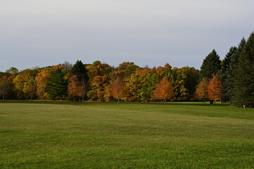 Fototapeta na wymiar autumn landscape in the park