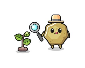 cute loose stools herbalist researching a plants