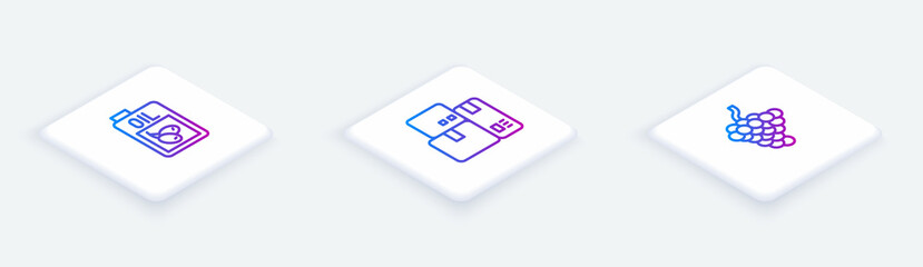 Set Isometric line Bottle of olive oil, Cash register machine and Grape fruit. White square button. Vector