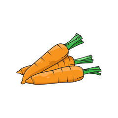fresh carrot vector design