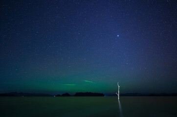 landscape star or starry on clear blue sky and shining starlight to green aurora on sea or lake at night and mountain with dead tree trunk or log in water at pom pee and vajiralongkorn dam in thailand