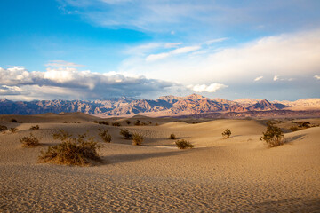 beautiful Mesquite flats in the death valley desert in sunset light