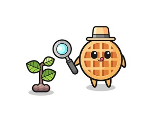 Fototapeta premium cute circle waffle herbalist researching a plants