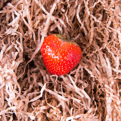 Strawberries on paper straws top view, copy space