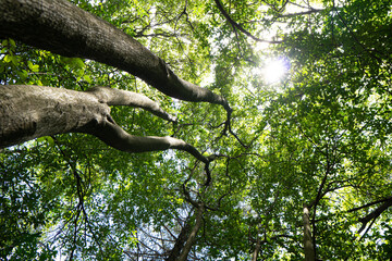 Naturaleza