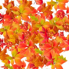 Naklejka na ściany i meble Abstract autumn leaves background