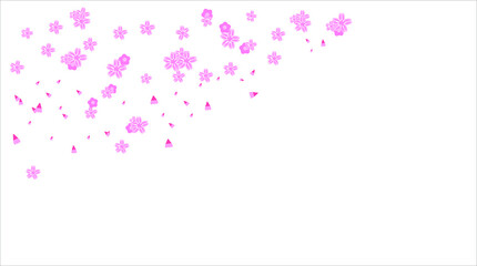 Cherry blossoms, spring flower garden vector illustration on white background ,Japanese sakura flowers
