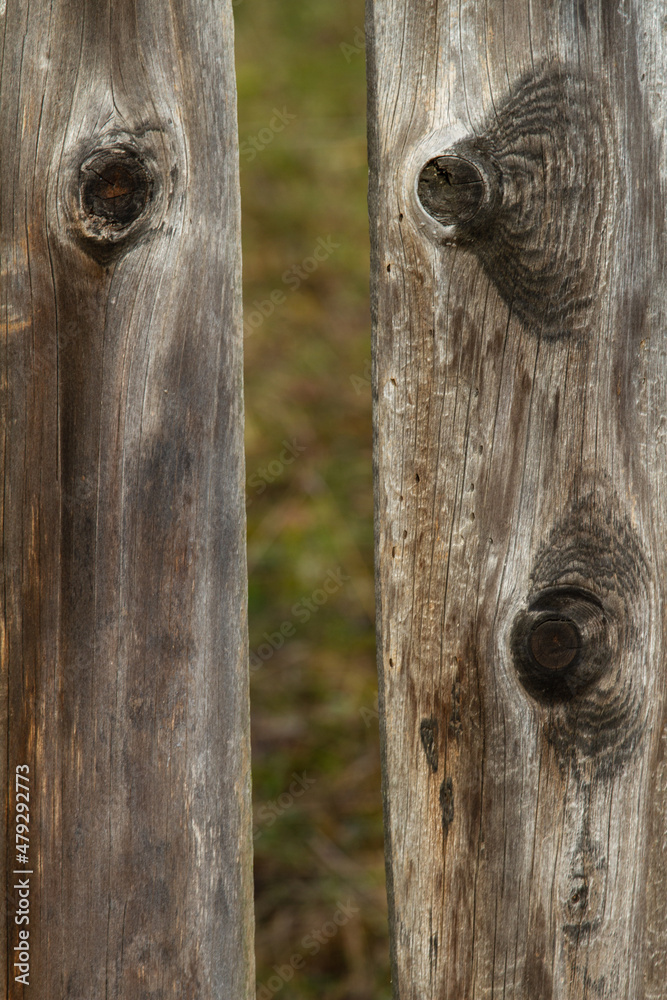 Wall mural Wooden structure