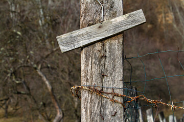 wood structure