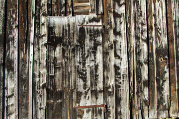 Wood