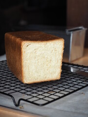 white bread