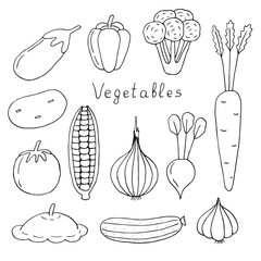 Vegetables set vector illustration, hand drawing doodles