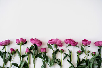 Elegant pink peony flowers pattern on white background with copy space