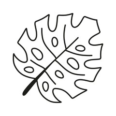 Hand drawn leaf icon. Vector illustration Tropical Leaves in doodle style. Exotic summer botanical illustration.
