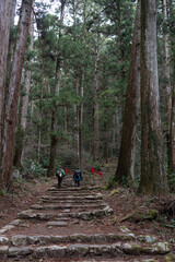 Obraz premium 歴史ある参道を歩く