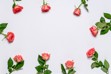Frame made of fresh pink roses on white background. Beautiful floral greeting card for Valentine's, women's or mother's day. Mock up, flat lay, top view, copy space
