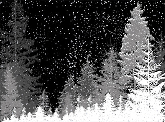 fir trees grey forest under white snowfall