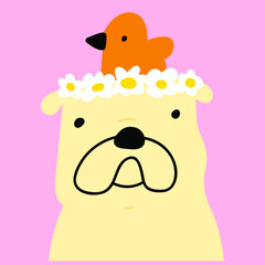 Face of bulldog with bird on his head. Vector illustration on pink background.