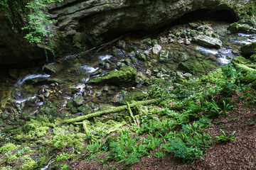 River in countryside