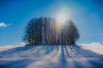 セブンスターの丘 北海道美瑛町
Sevenstar Hill-Biei Town Hokkaido