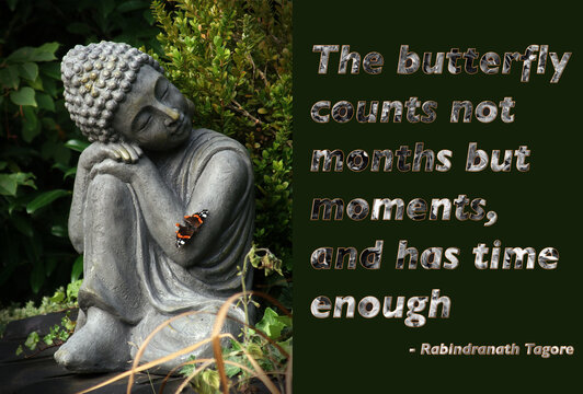 The butterfly counts not months but moments, and has time enough. Tagore. Buddha statue in the garden with a butterfly on his arm.