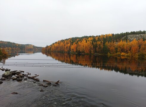 Murmanskaya obl