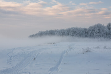 winter landscape, frozen trees, snowy view, beautiful winter