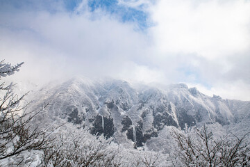 새하얀 겨울 풍경