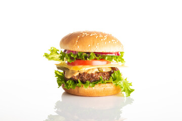 burger on a light background