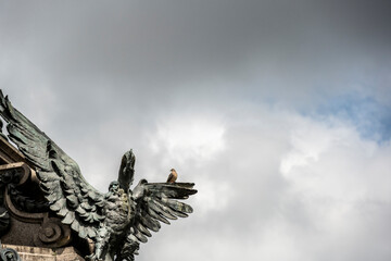 Fototapeta premium a live bird poses on a bronze bird of a monument in the center of Quito 