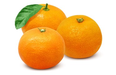 みかん 果物 イラスト リアル セット