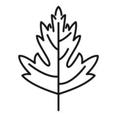 Parsley garnish icon outline vector. Herb plant