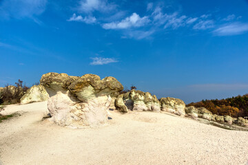 Stone mushrooms