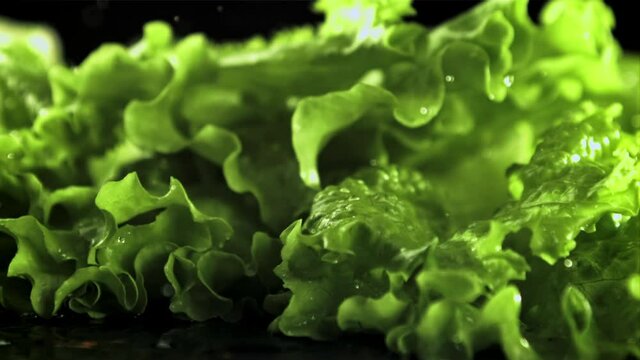 A leaf of fresh lettuce falls on the table. Macro background. The texture of the salad. Filmed is slow motion 1000 fps.